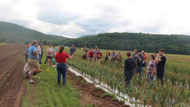 Agrotourism (AGTO)