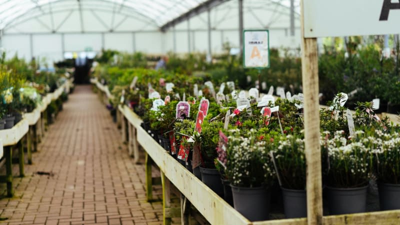 Horticulture Nursery (HONU)