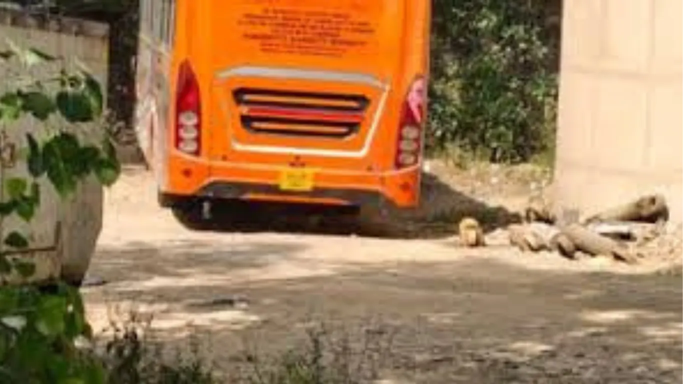 Another Nirbhaya