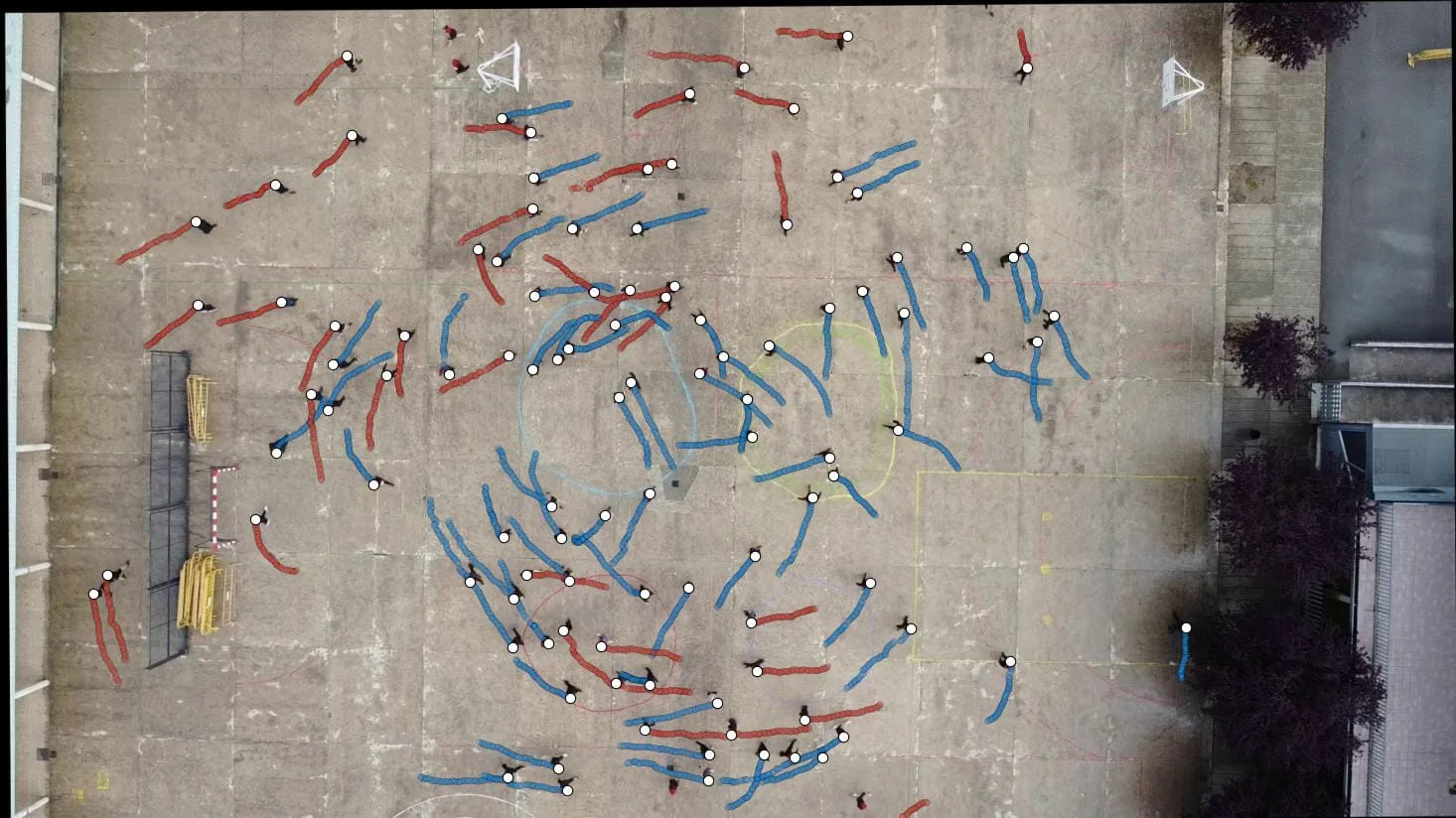 The Hidden Walking Rule Nobody Knew Existed: Why Humans Naturally Turn Counterclockwise