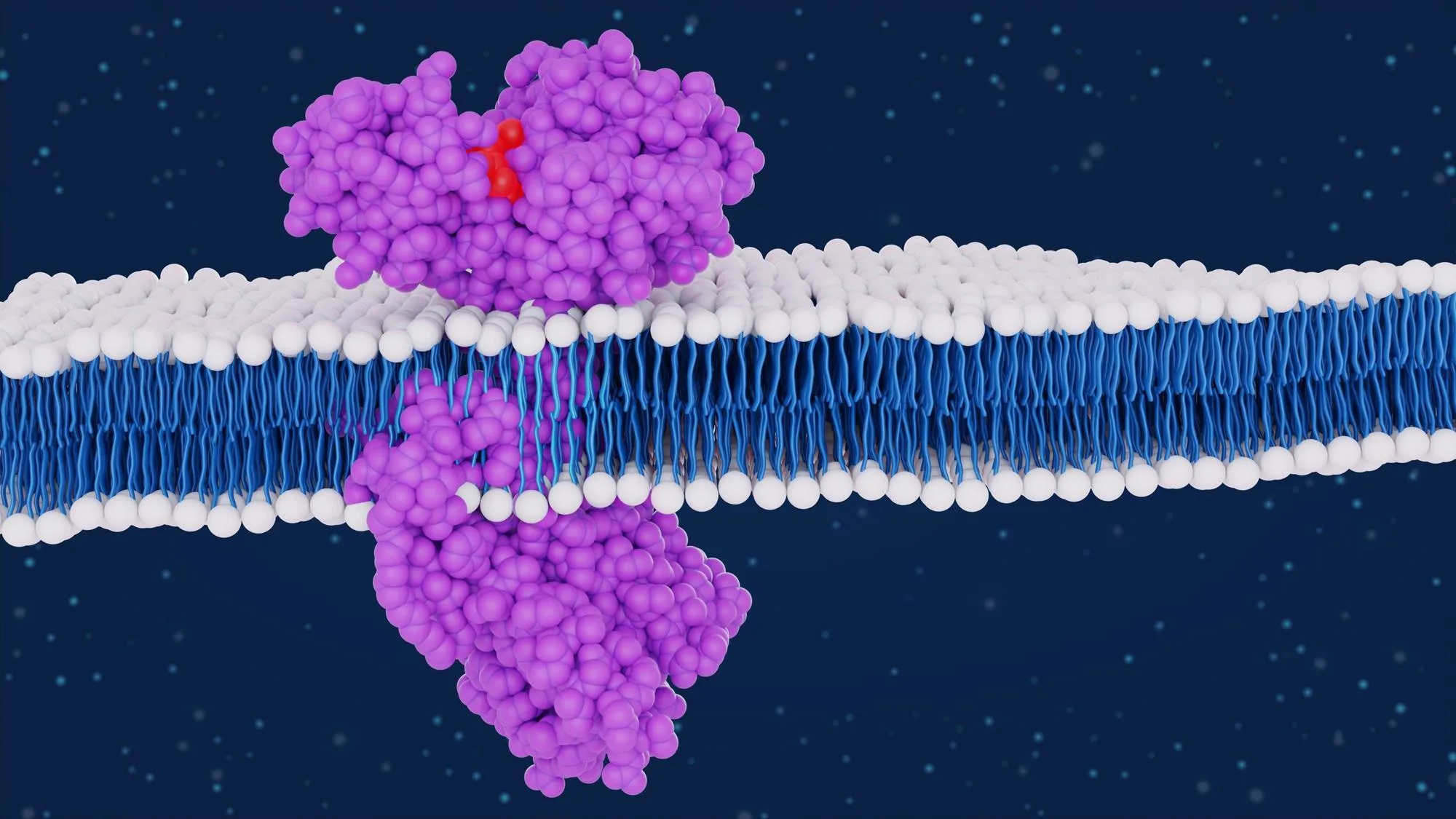 AI-Designed Miniproteins Just Unlocked One of Medicine's Most Elusive Drug Targets