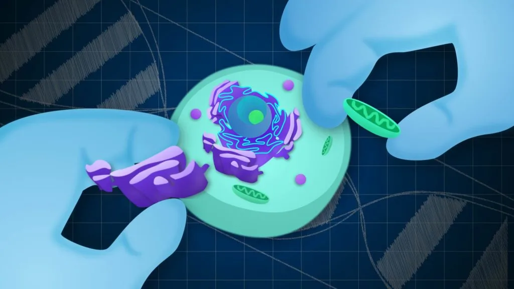 Synthetic Cell That Grows and Divides: Meet SpudCell, the Lab-Made Blob Rewriting What Counts as Life