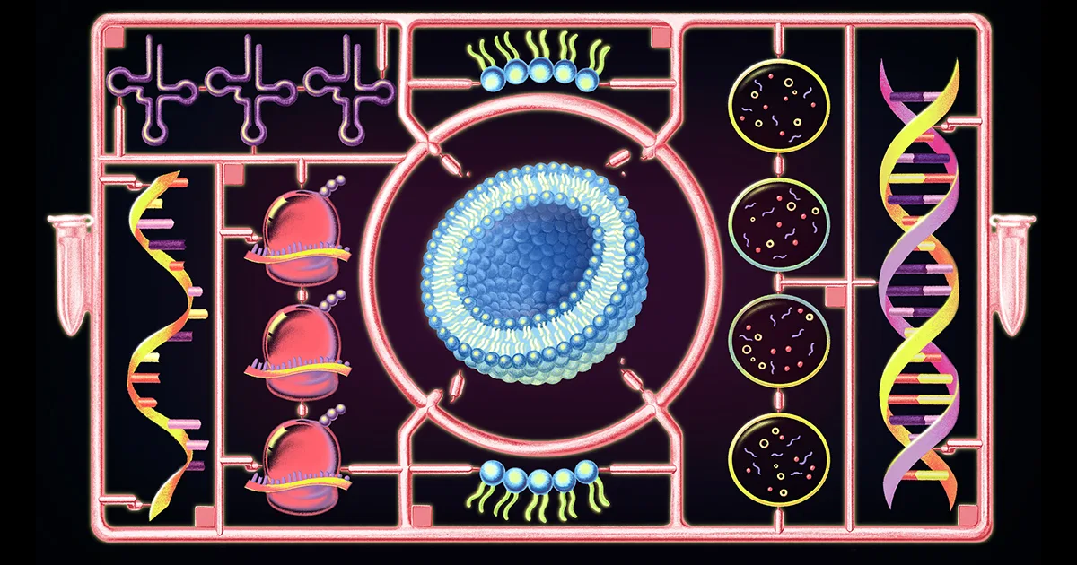 Scientists Built a Synthetic Cell That Grows and Divides, and It's Closer to Life Than Anything Made Before