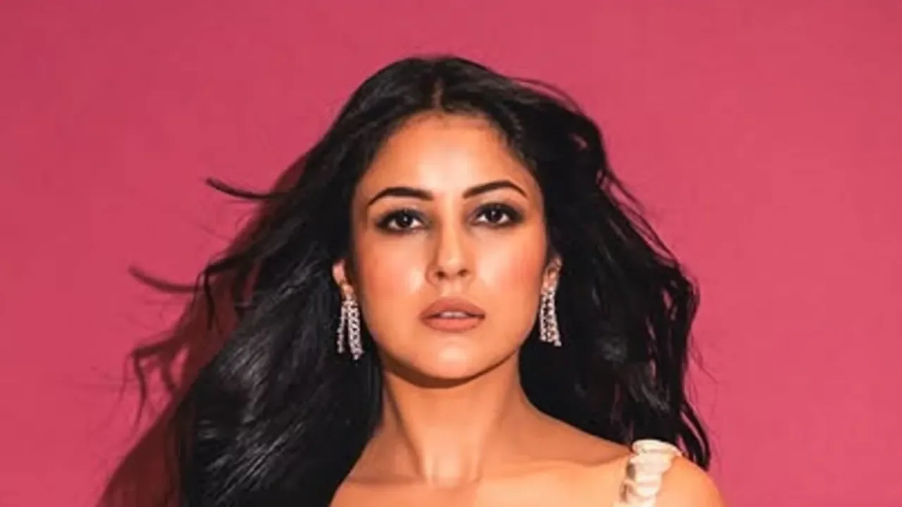 Shehnaaz Gill's Reply on Therapy Is Going Viral, and Honestly, It Should