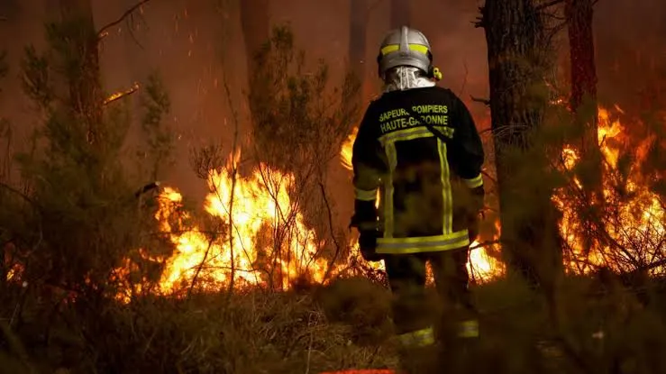 Wildfires Force Thousands to Evacuate in France and Spain