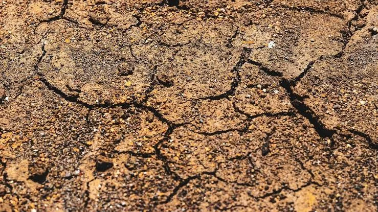 Delhi-NCR Earthquake 2026: Tremors Felt at 4:14 AM, Magnitude 2.9 on the Richter Scale