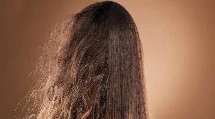 Monsoon Hair Care Tips for Frizzy Hair: How to Keep Hair Smooth and Healthy
