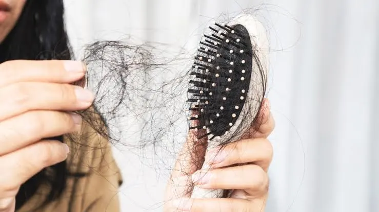 Monsoon Hair Care Tips to Prevent Hair Fall