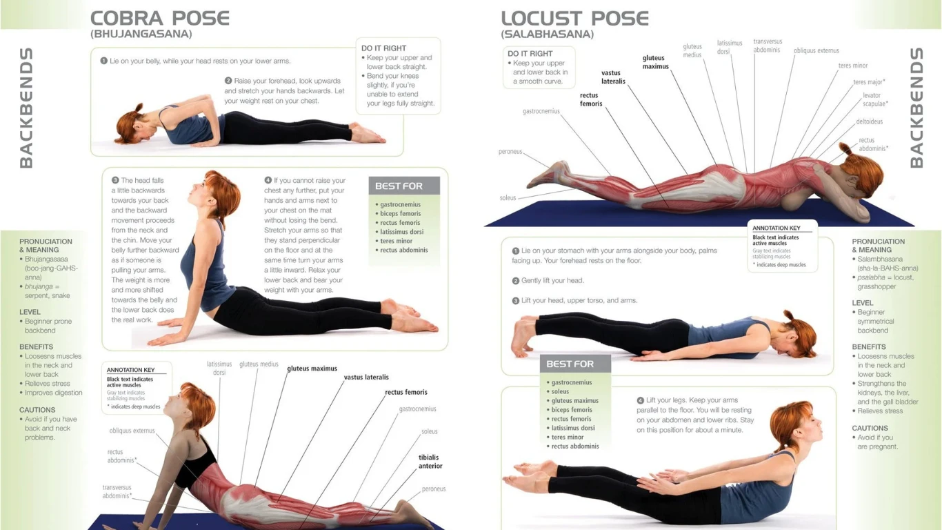 A Real Guide to the Basics of Yoga