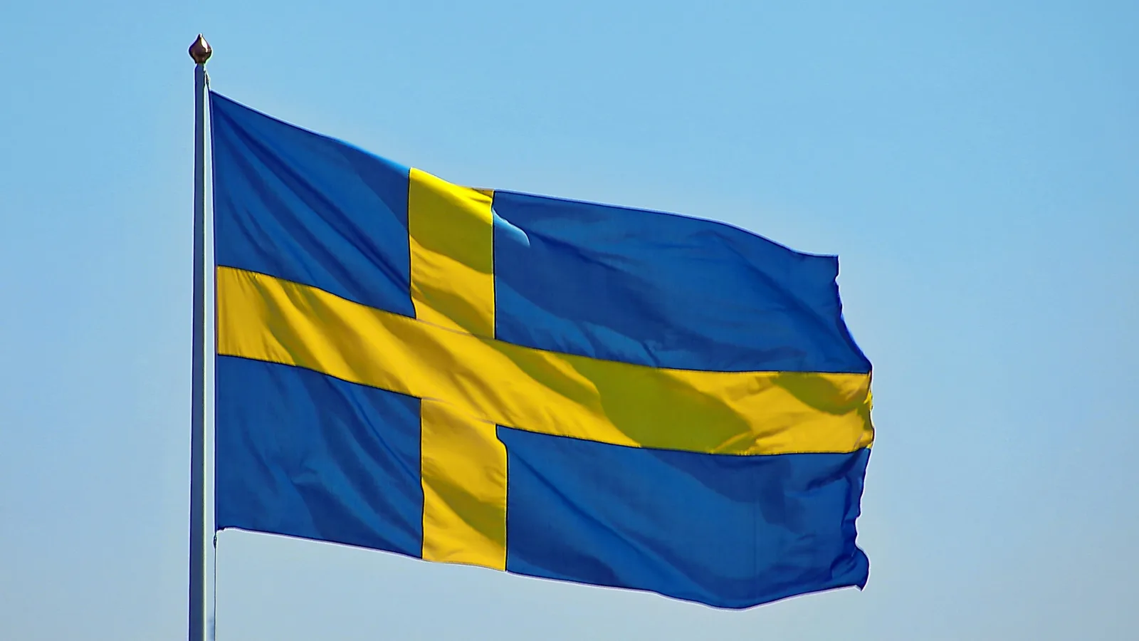 Sweden Institute Scholarship for Global Professionals 2027 : Financement intégral des études de maîtrise en Suède