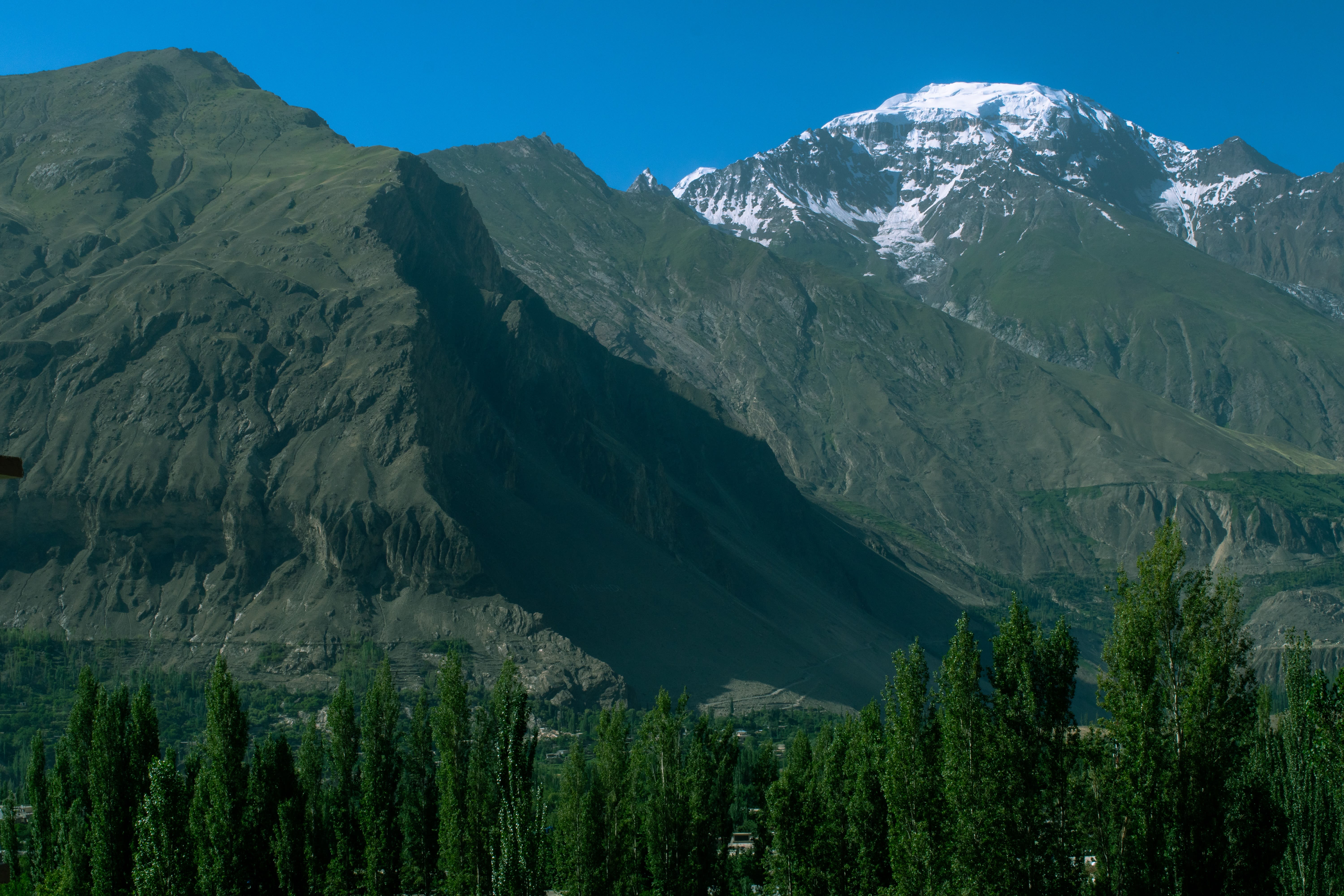 Nature photograph 4 of 25 by Ahmad
