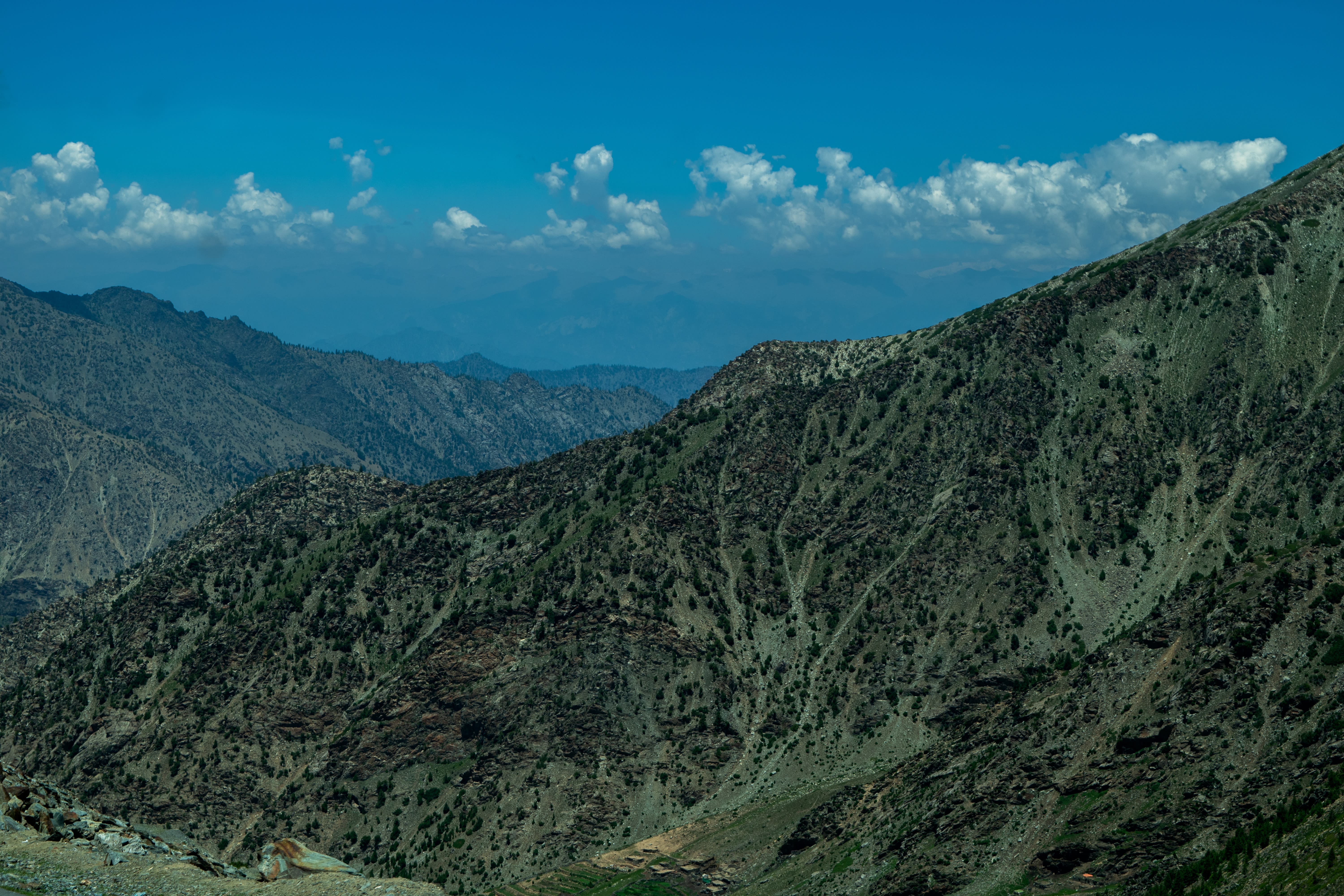 Nature photograph 22 of 25 by Ahmad