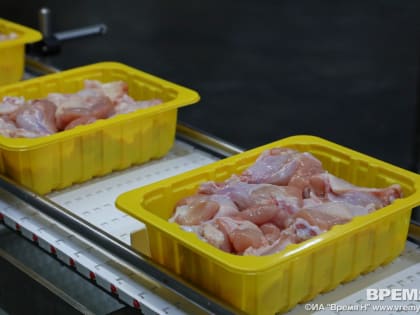 Птицефабрика «Павловская» прокомментировала наличие антибиотиков в продукции