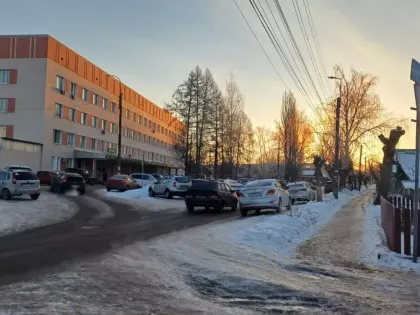 Жара и дожди: сумасшедший конец января предрекли нижегородцам