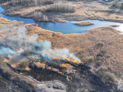 Подобрался к домам. Последствия мощного нижегородского пожара сняли с воздуха