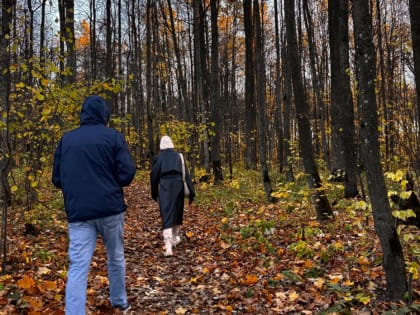 Погода в Подмосковье на 20 октября: облачность и дожди