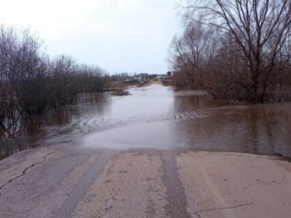 Шесть низководных мостов затопило в Нижегородской области 2 апреля