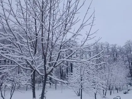 До -23! Начало февраля подкинет мощный морозный сюрприз нижегородцам