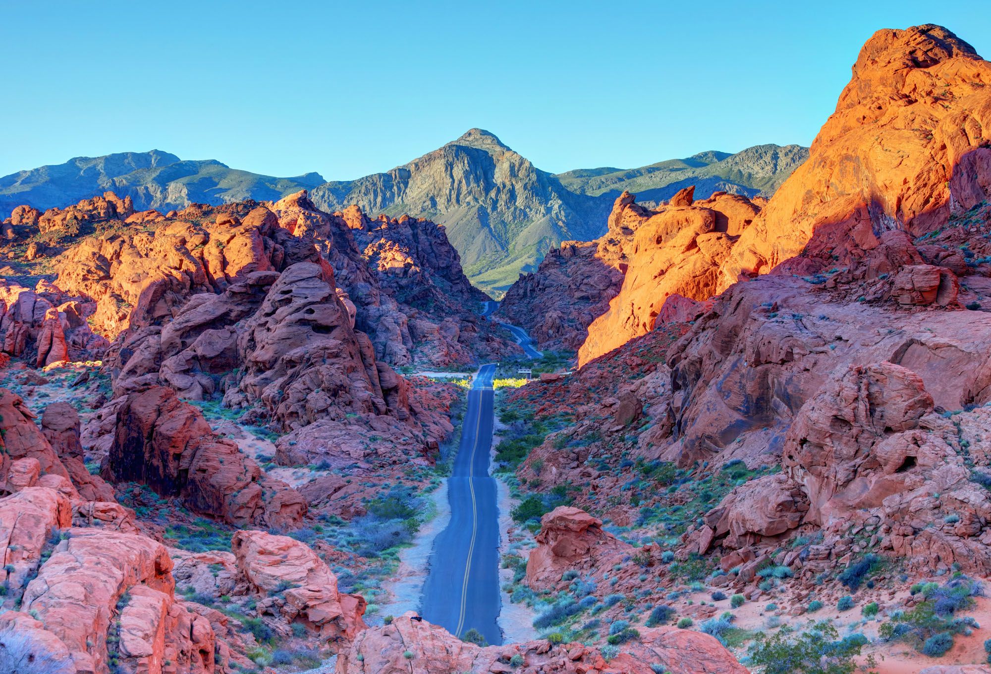 how-to-notarize-documents-online-in-nevada