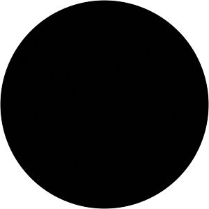 Notary Profile Picture