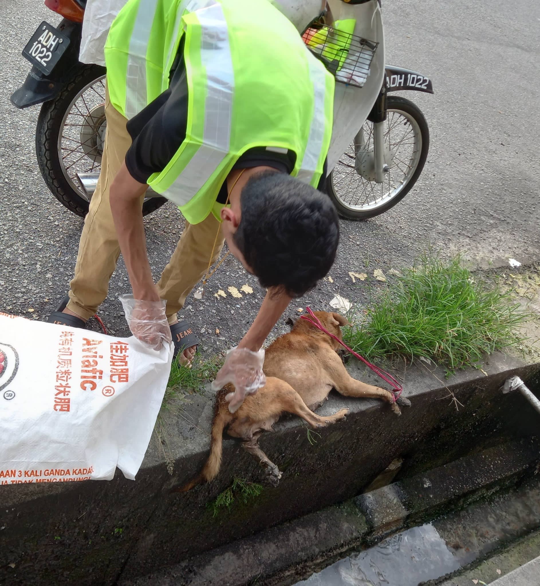 志工队埋狗行动