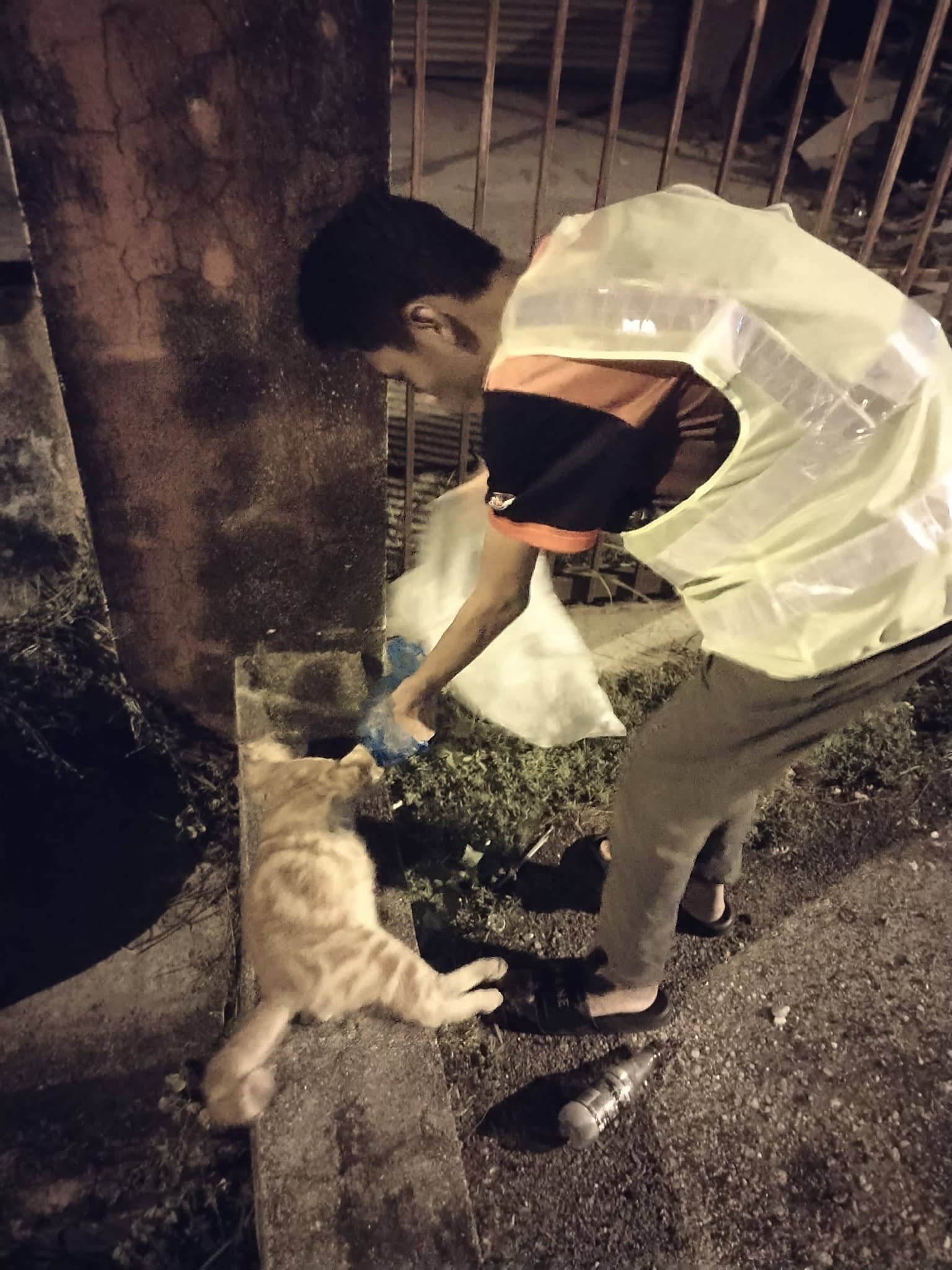 志工队埋猫行动