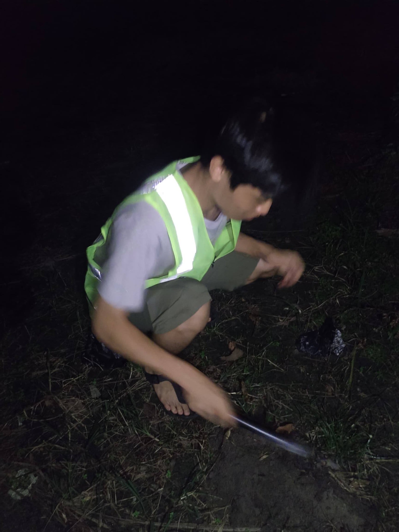 志工队埋猫行动