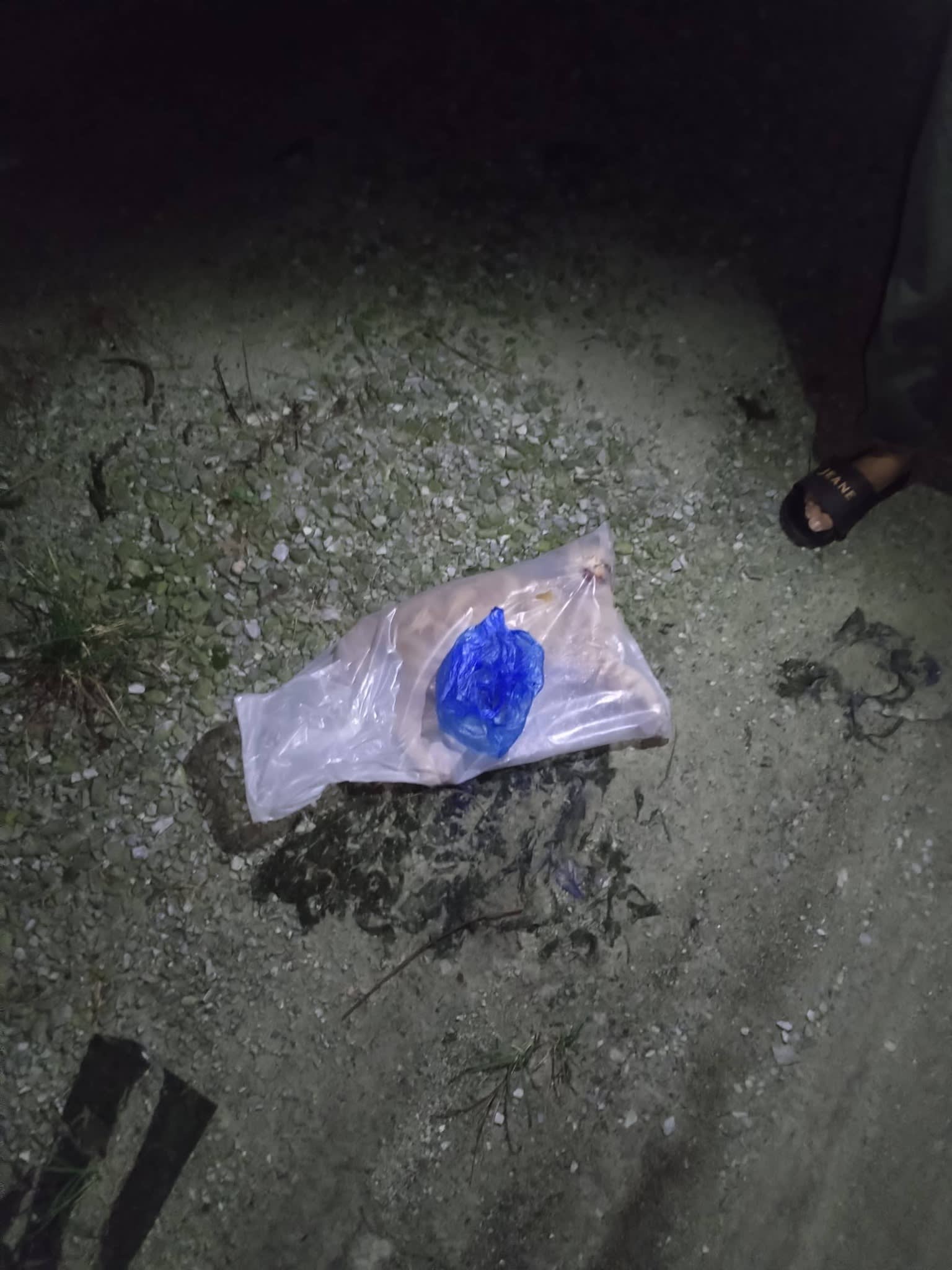 志工队埋猫行动