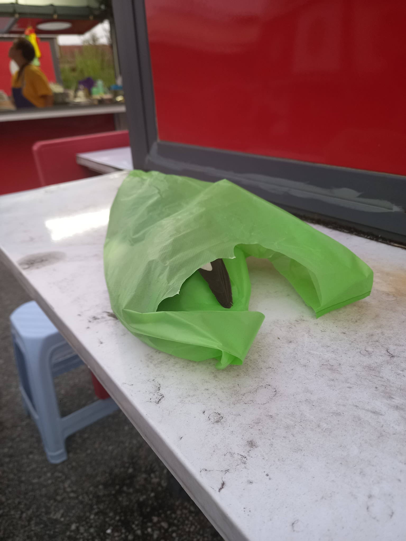 志工队埋鸟行动
