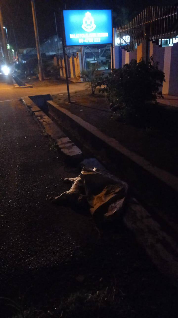 志工队埋猫行动