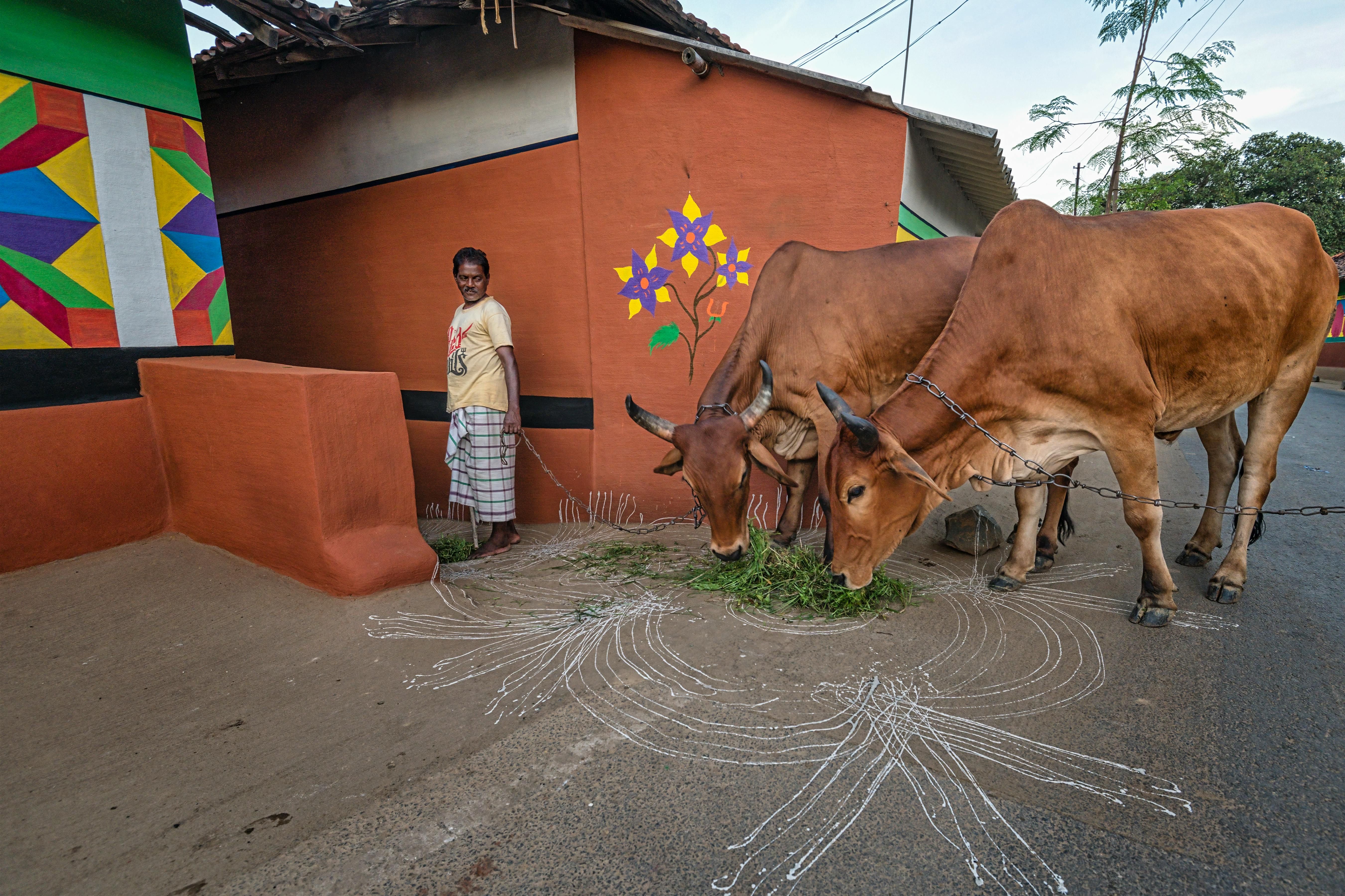 Agriculture in Hassan