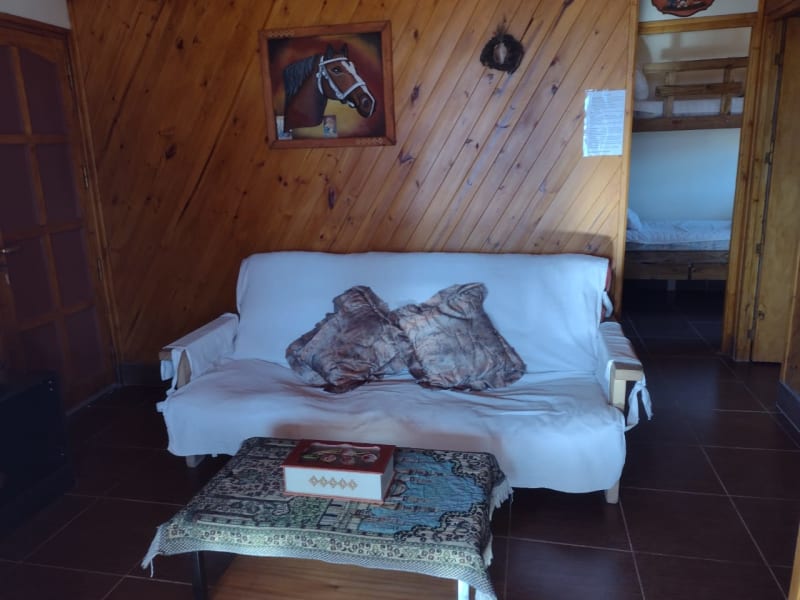 Living acogedor con sofá cama, pared de madera y mesa ratona frente a la sala