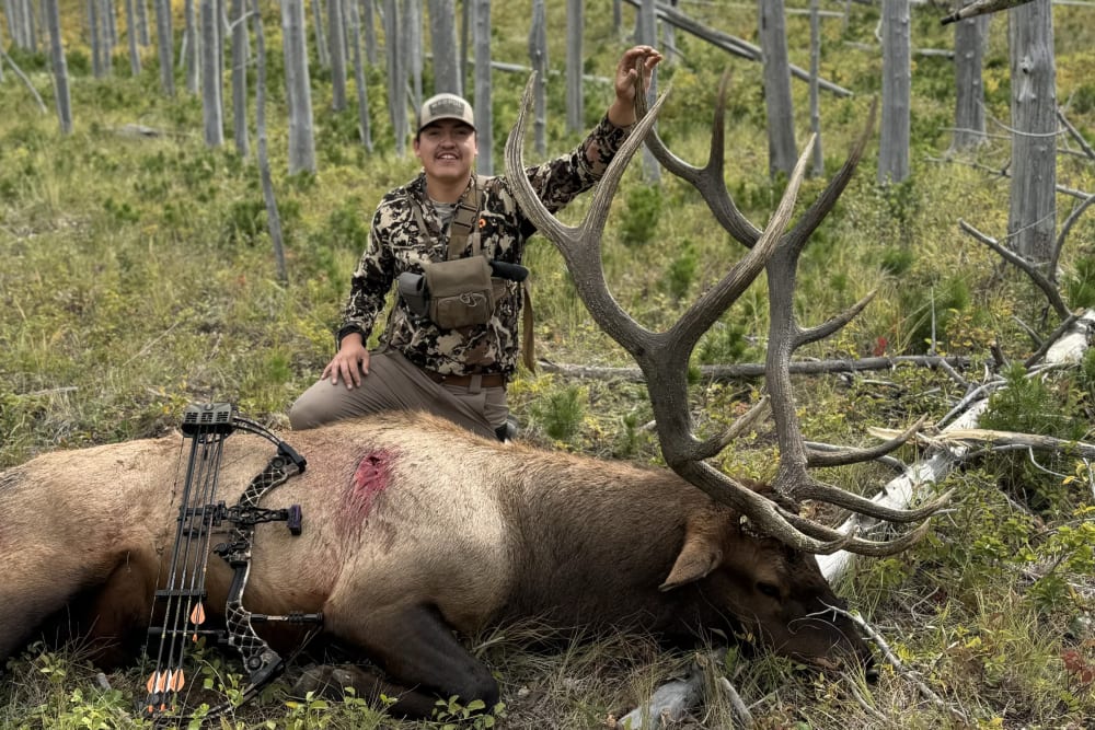 Elk — Trout Hunters Guide Service