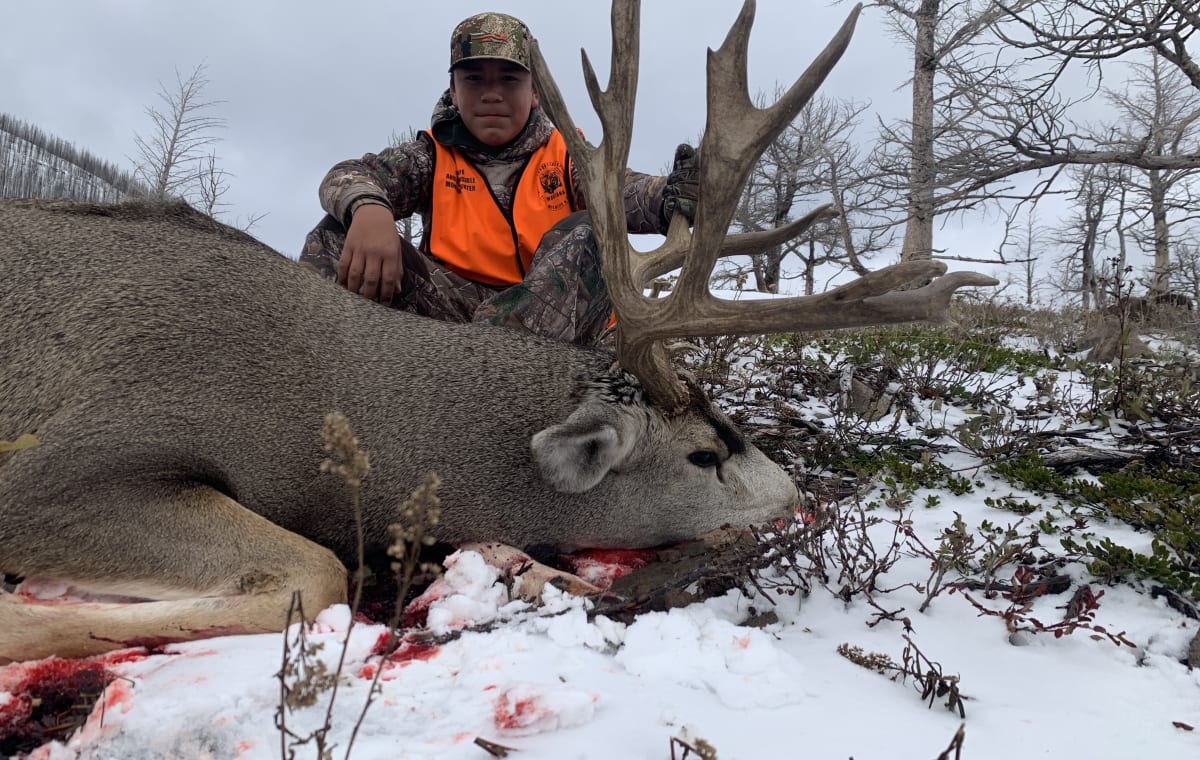 Mule Deer — Trout Hunters Guide Service