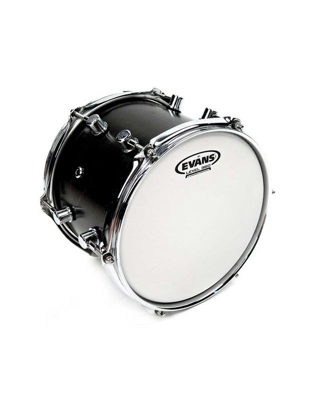 DADDARIO (B14G1) EVANS B14G1 PARCHE POROSO