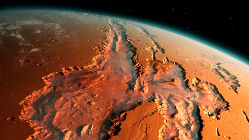 TROPICAL (MARS-B) MARS-B FUNDA PARA BAJO ELECTRICO PROLOK MARS 15MM