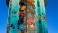 Underwater Dreams: A Coral Symphony Unveiled