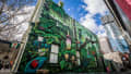 Urban Jungle: Nature's Embrace in the City