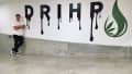 Drihp 