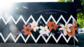 Flower Mural