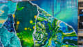 Emerald Waves of Urban Serenity