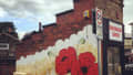 Poppy Wall