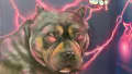 Electric Gaze of the Urban Guardian