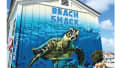 Sea turtle mural