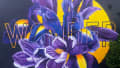 Blooming Wonder in Urban Serenity