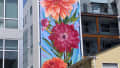 80 Foot Dahlias