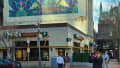 Tropical Harmony in Urban Canvas