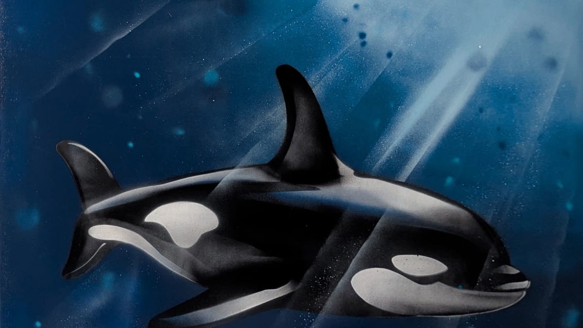 undefined's cover image