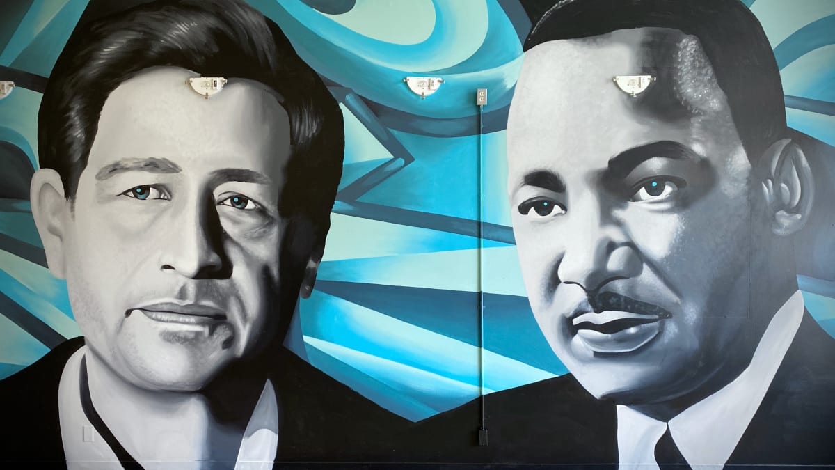 undefined's cover image