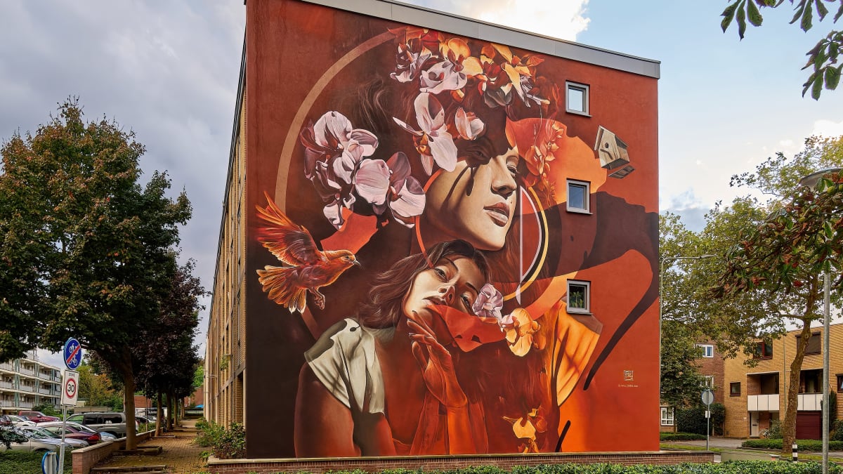 undefined's cover image